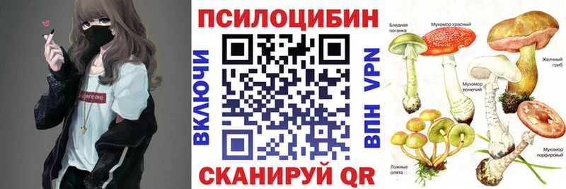 Псилоцибиновые грибы Psilocybine cubensis  Жирновск 